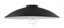 Minka 7984-18-66 - RLM - METAL SHADE + GLASS SHADE