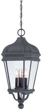 Minka 8694-66 - Harrison - 4 Light Outdoor Chain Hung