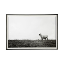 Art by Cartwright 13349 - Lady Sheep II