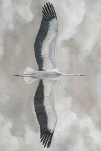 Art by Cartwright 52GCJL0882-LN - Flying Elegance