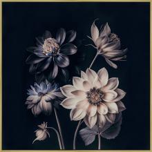 Art by Cartwright 618139-4040 - Dahlia Elegance I