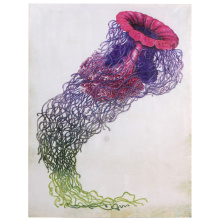 Art by Cartwright WI32507 - Jellyfish