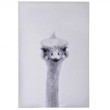 Art by Cartwright WI33368 - Ostrich Portrait