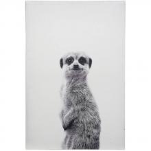 Art by Cartwright WI33370 - Meerkat Portrait