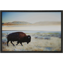 Art by CARTWRIGHT WM13065 - Bison