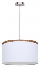 True Light Co. D624BN-18WW - Copeland Pendant