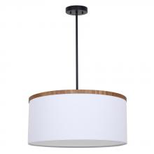 True Light Co. D624BK-22WW - Copeland Pendant