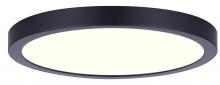 True Light Co. DL15A30FC5BK-C - Iggy Flush Mount
