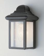Trans Globe 44835 BK - 1LT WALL-POCKET-OUTD-MINI-CLEA