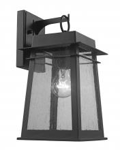 Trans Globe 51020 BK - 1LT OUTD WALL SEEDED GLAZE-BK