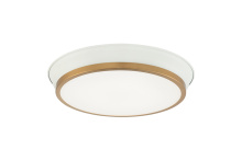 Matteo M11202WHAG - Jaxx White + Aged Gold Brass Ceiling Mount