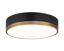 Matteo M14303BKAG - Trydor Black, Aged Gold Brass Ceiling Mount