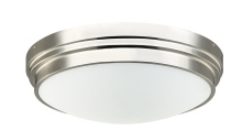 Matteo X46403BN - Fresh Colonial Brushed Nickel Ceiling Mount