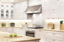 Nuvo 63/503 - 13 Watt; 22 Inch LED White Under Cabinet Light; CCT Selectable; 50000 Hours