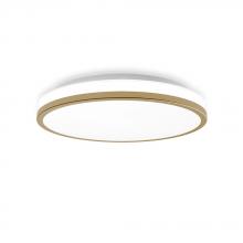 Lighting by CARTWRIGHT A17087 - FLUSH MOUNT