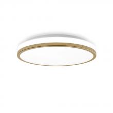 Lighting by CARTWRIGHT A17087 - Flush Mount