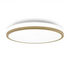 Lighting by CARTWRIGHT A17089 - FLUSH MOUNT