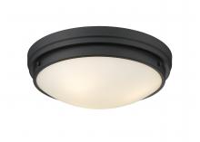 Lighting by CARTWRIGHT TRF1017BK - FLUSH 17"