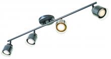 Directional Flush Mounts