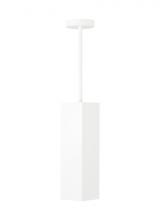 Visual Comfort 700TDEXOP181220WB-LED927 - Exo 18 Pendant