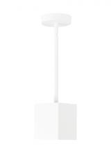 Visual Comfort 700TDEXOP64820WW-LED930 - Exo 6 Pendant