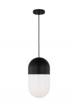 Visual Comfort DJP1141MBK - Foster Medium Pendant