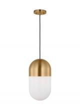 Visual Comfort DJP1141SB - Foster Medium Pendant