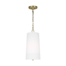 Visual Comfort LP1101TWBWLW - Ivie Tall Pendant