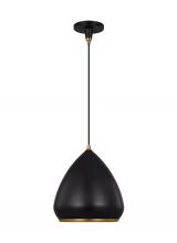 Visual Comfort TP1121AIBBS - Clasica Medium Pendant