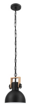 Eglo 204201A - 1 LT Mini Pendant w/ Black Finish & Black w/ White Interior Metal Shade w/ Wood Accent