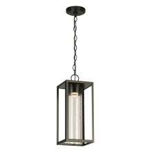 Eglo 204708A - 1 LT Integrated LED Outdoor Pendant w/ Black Finish & Clear Seeded Glass Shade