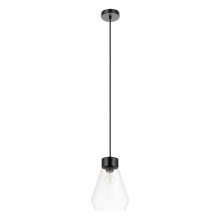 Eglo 205325A - 1 LT Pendant w/ Matte Black Finish & Clear Glass Shade