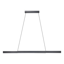 Eglo 206199A - 2 LT LED Linear Pendant w/ Brushed Black AluminumFinish & Black Shade & Acrylic Diffuser