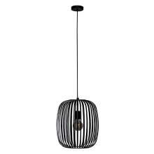 Eglo 900494A - 1 LT Cage Pendant w/ Black Finish & Black Shade